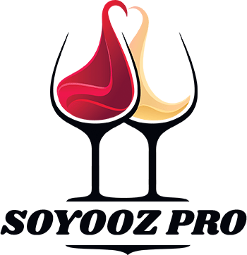 soyooz-pro.com
